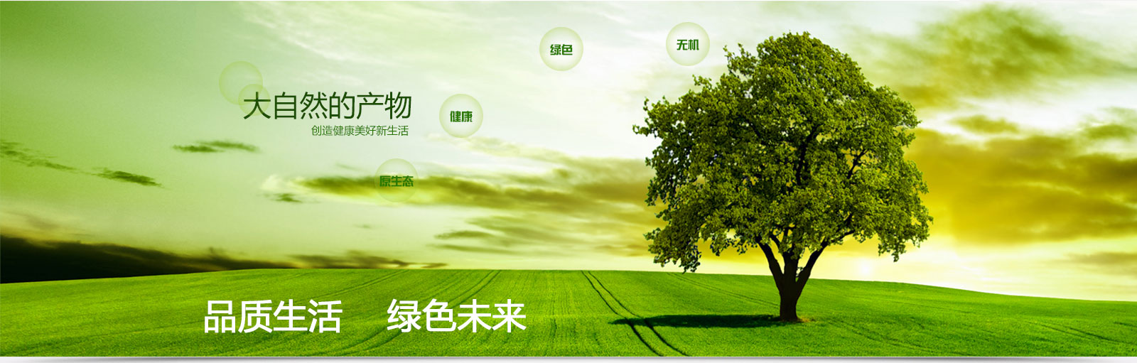 首页轮播广告图